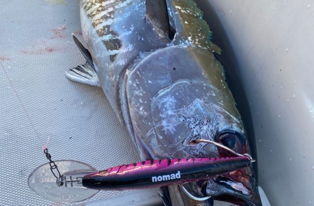 Intera Giornata a Traina D'Altura - Full Day Trolling Offshore