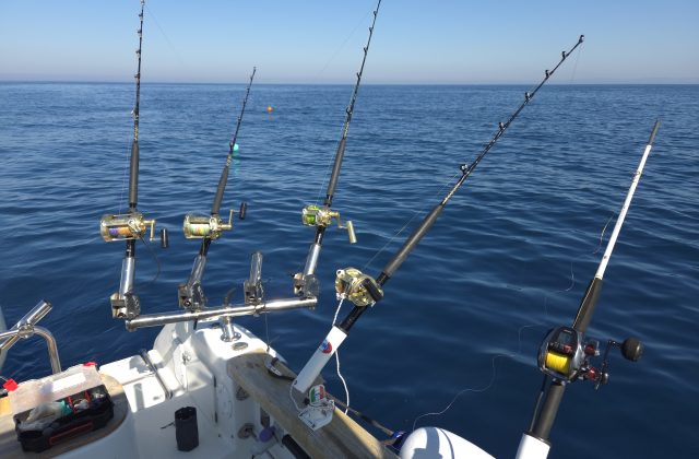 Uscita Fishing Experience (4 Ore) – Big Game, Traina Costiera e Bolentino