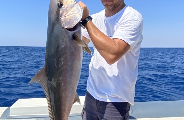 Traina di fondo | Pesca con esca viva MATTINA