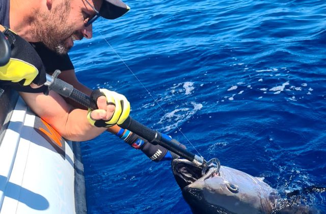 Drifting al tonno rosso in Salento| Tuna fishing POMERIGGIO