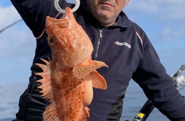 Bolentino a Porto Cesareo tra secche, relitti e fondali ricchi POMERIGGIO
